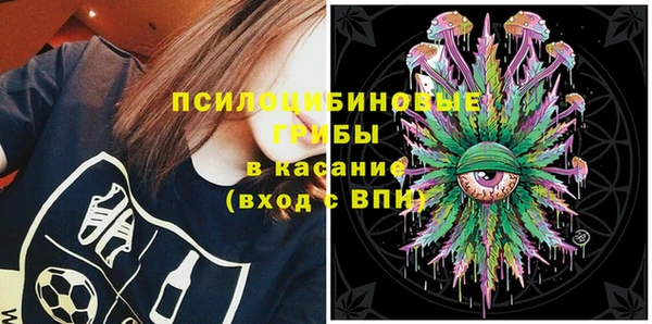 таблы Белокуриха
