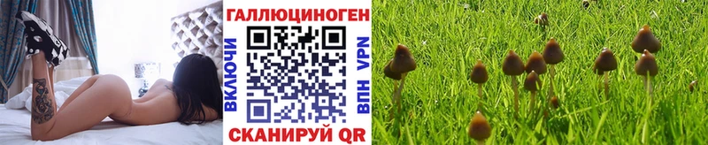 Галлюциногенные грибы Psilocybe Пестово
