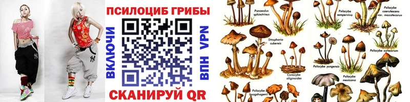 цены   Пестово  Галлюциногенные грибы ЛСД 